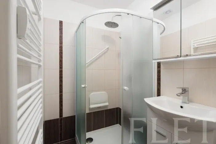 Pronájem bytu 2+1, Praha - Žižkov, Loudova, 61 m2