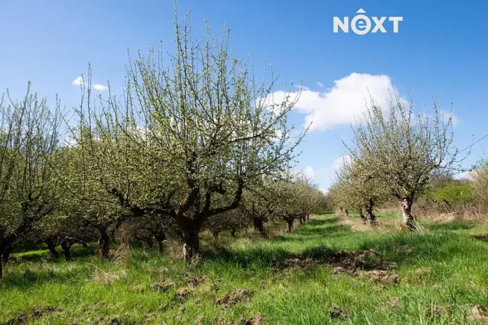 Prodej rodinného domu, Jestřebí, 263 m2