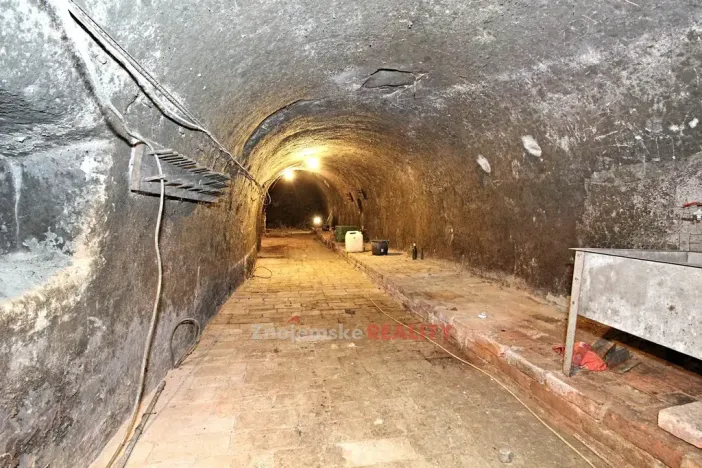 Prodej vinného sklepa, Chvalovice, 106 m2