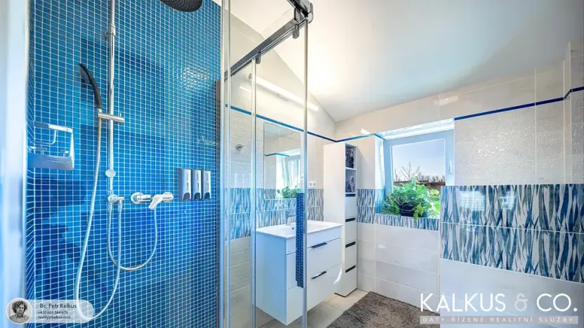 Prodej rodinného domu, Blešno, 214 m2