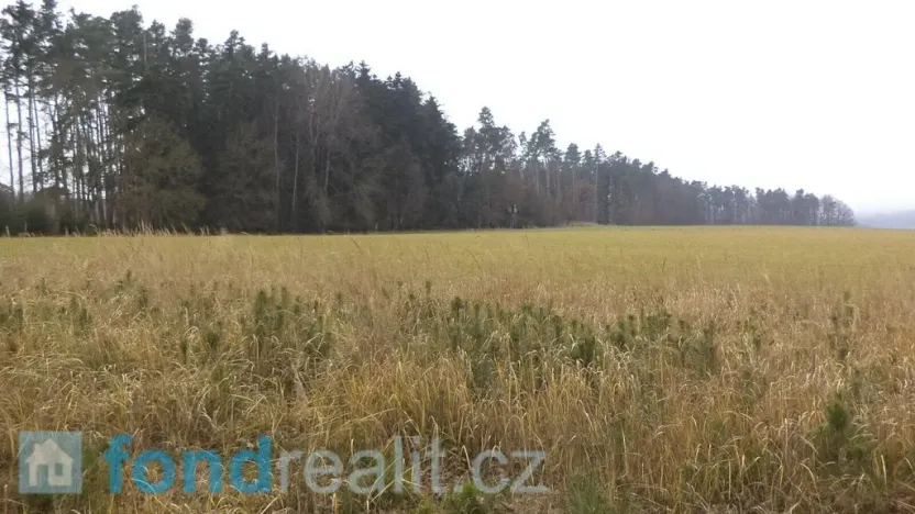 Prodej pole, Malovice, 5875 m2