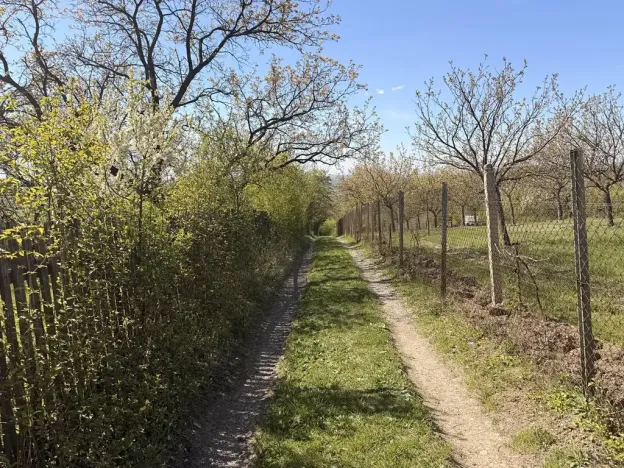 Prodej chaty, Slavkov u Brna, Palackého náměstí, 16 m2