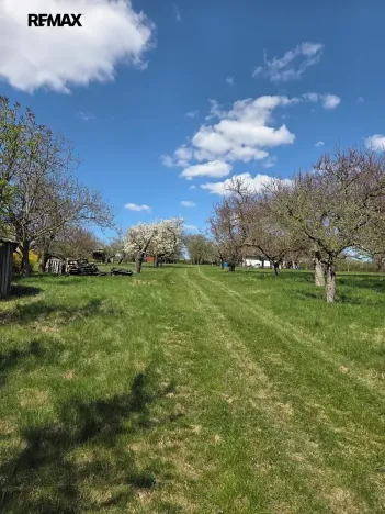 Prodej zahrady, Křenovice, 4967 m2