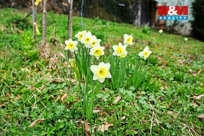 Prodej chaty, Jemnice, 16 m2