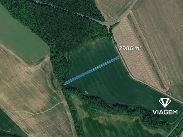 Prodej pole, Loukov, 2986 m2