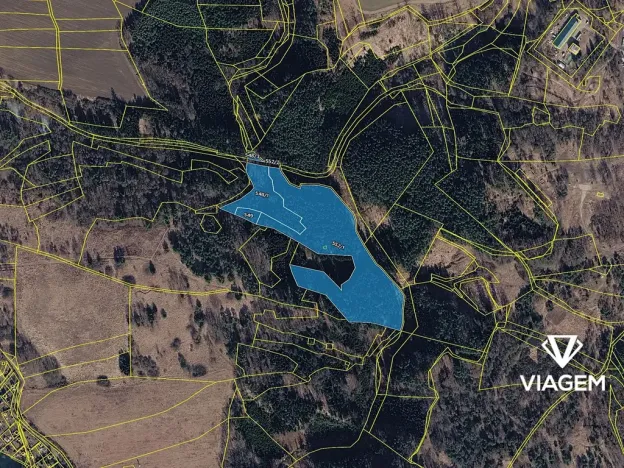 Prodej podílu lesa, Tábor, 11221 m2