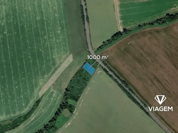 Prodej lesa, Jarohněvice, 1000 m2