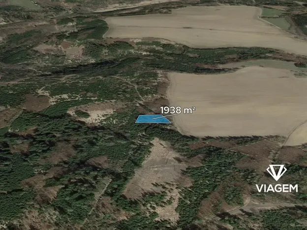 Prodej podílu lesa, Řendějov, 1292 m2