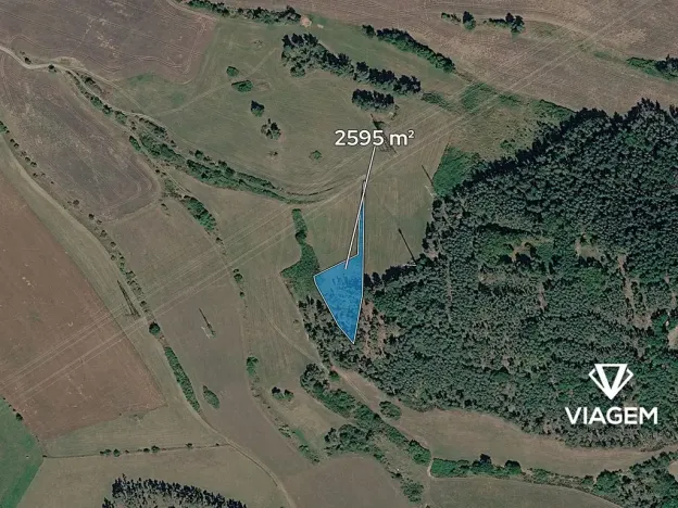 Prodej lesa, Nečín, 2595 m2