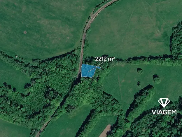 Prodej lesa, Ženklava, 2212 m2
