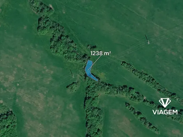 Prodej lesa, Ženklava, 1238 m2