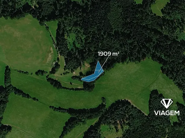 Prodej lesa, Postřelmůvek, 1909 m2