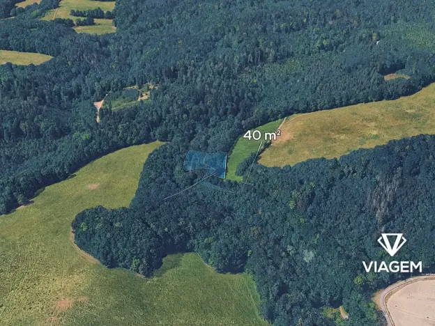 Prodej podílu lesa, Životice u Nového Jičína, 2098 m2