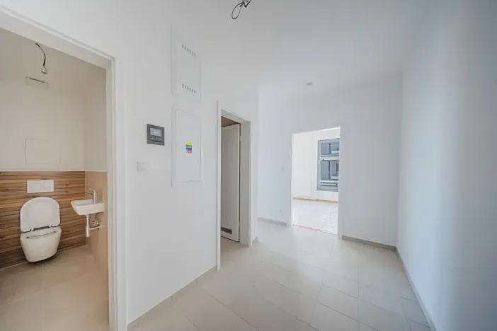 Prodej bytu 2+kk, Plzeň, Borská, 64 m2