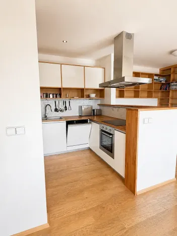 Pronájem bytu 3+kk, Brno, Majdalenky, 120 m2