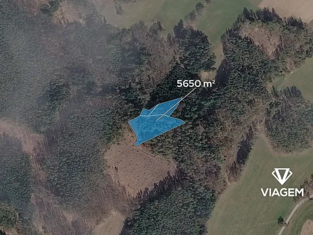 Prodej lesa, Řečice, 5650 m2