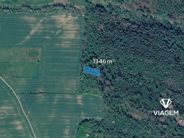 Prodej lesa, Horní Lhota, 1346 m2