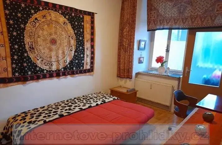 Pronájem pokoje, Brno, Tkalcovská, 20 m2