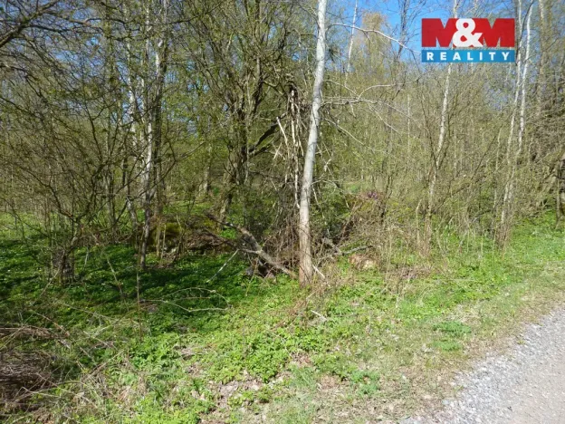 Prodej pozemku pro bydlení, Brzice, 1453 m2