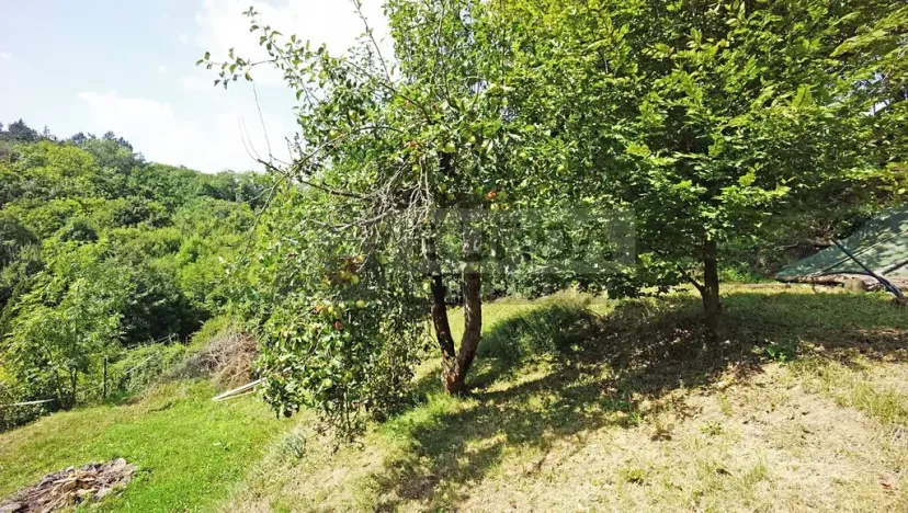 Prodej zahrady, Kralupy nad Vltavou, Lobeč, 346 m2
