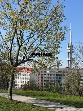 Pronájem bytu 3+kk, Praha - Žižkov, Prokopova, 71 m2