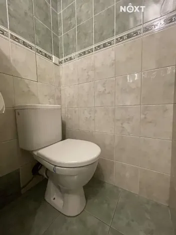 Pronájem bytu 2+1, Mladá Boleslav, Purkyňova, 64 m2