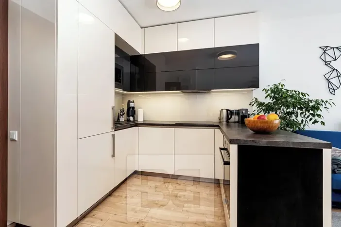 Prodej bytu 3+kk, Praha - Žižkov, Olgy Havlové, 75 m2