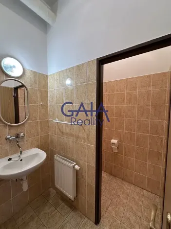 Pronájem obchodního prostoru, Louka, 597 m2