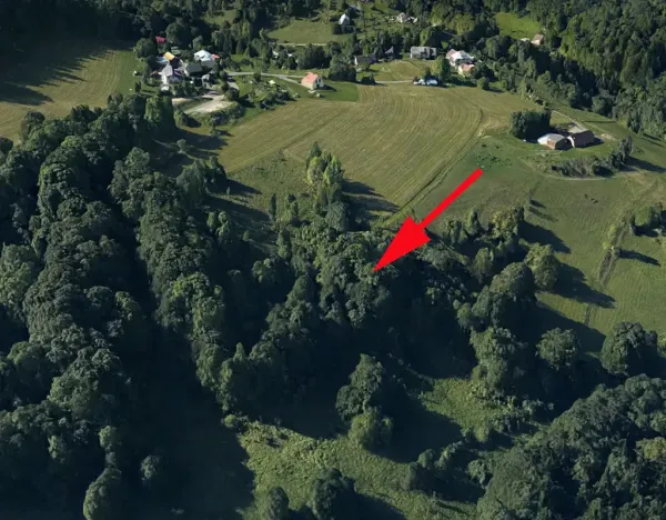 Prodej lesa, Železný Brod, 6562 m2