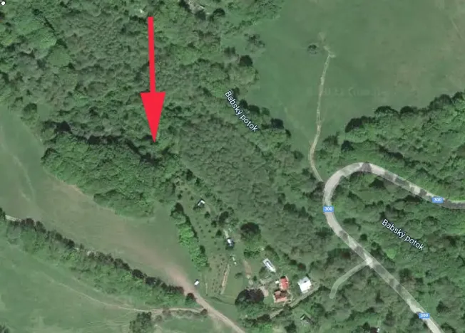 Prodej lesa, Trutnov, 4429 m2