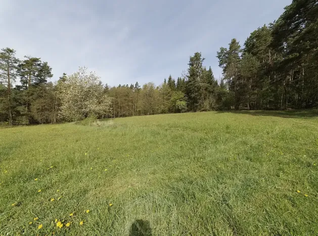 Prodej zemědělské usedlosti, Slabčice, 109 m2