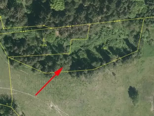 Prodej louky, Horní Dvořiště, 3918 m2