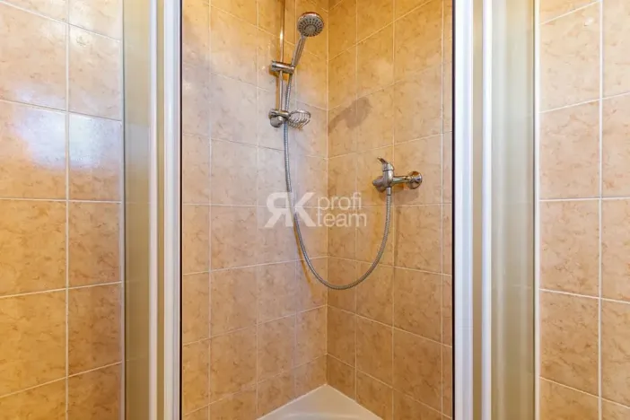 Prodej vícegeneračního domu, Ostrava, 1. května, 170 m2