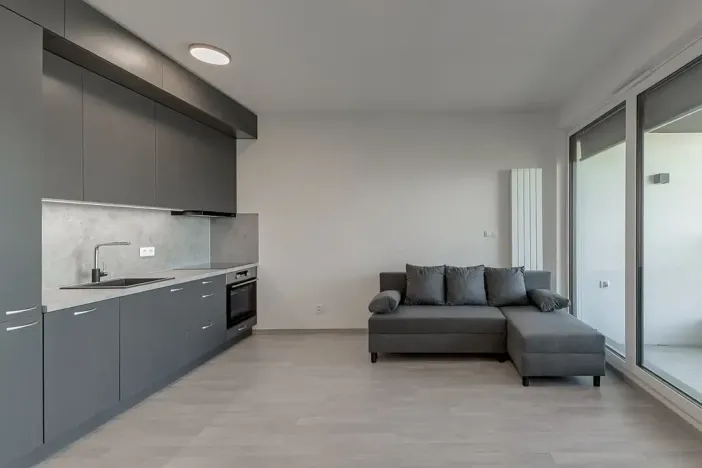 Pronájem bytu 1+kk, Praha - Žižkov, Olgy Havlové, 35 m2