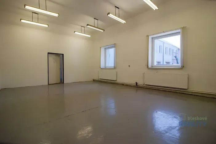 Pronájem skladu, Brandýs nad Labem-Stará Boleslav, Pražská, 45 m2