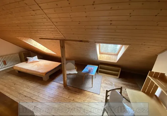 Pronájem pokoje, Liberec, 14 m2