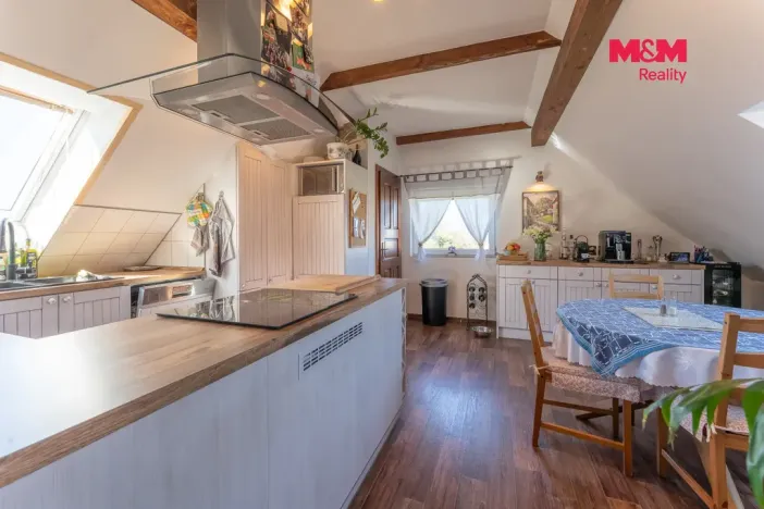 Prodej rodinného domu, Suchdol, 390 m2
