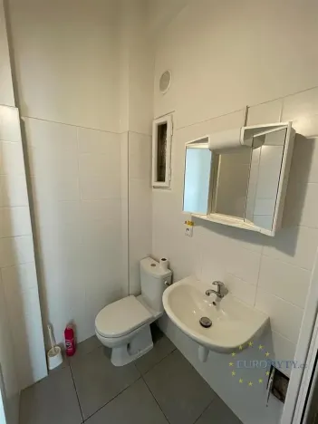 Pronájem bytu 1+kk, Praha - Nusle, V Horkách, 35 m2