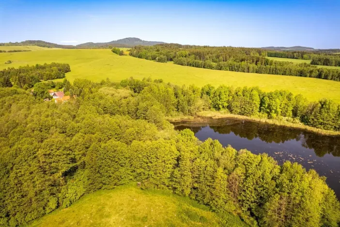 Prodej pozemku, Benešov nad Černou - Hartunkov, 5446 m2