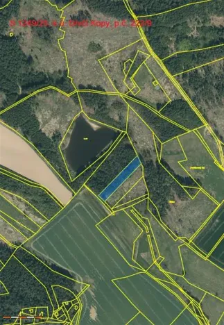 Prodej lesa, Dívčí Kopy, 3000 m2