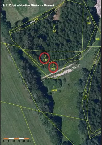 Prodej lesa, Zubří, 843 m2