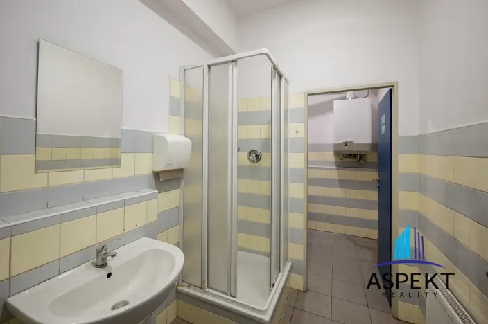 Pronájem obchodního prostoru, Praha - Kobylisy, U třešňovky, 224 m2