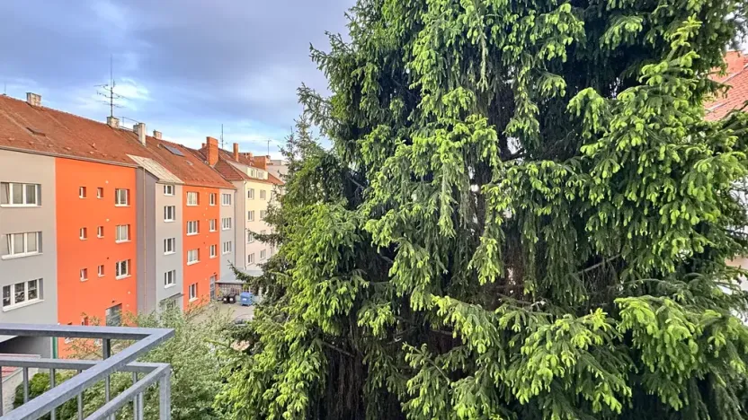 Pronájem bytu 1+kk, Brno, Venhudova, 22 m2