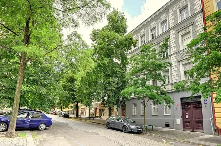 Pronájem bytu 1+1, Praha - Vinohrady, Bořivojova, 41 m2