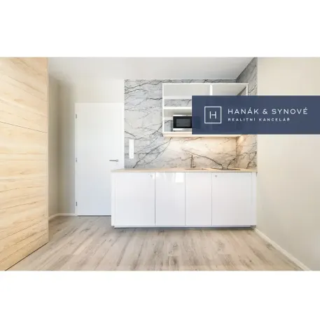 Pronájem bytu 1+kk, Brno, Chaloupkova, 22 m2