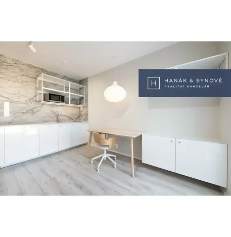 Pronájem bytu 1+kk, Brno, Chaloupkova, 22 m2