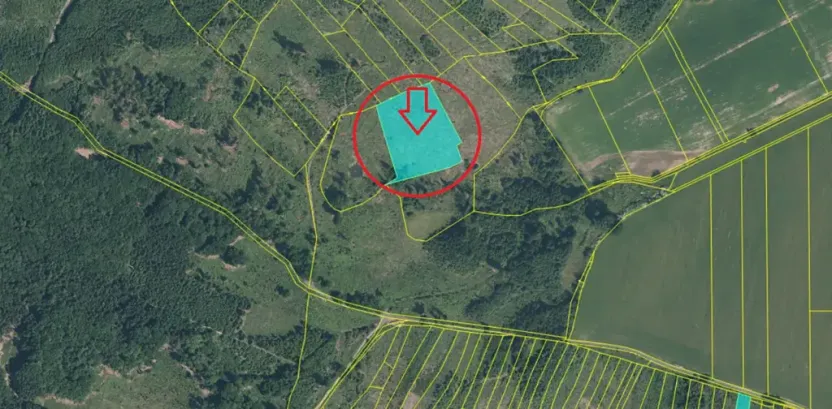 Prodej lesa, Mrákov, 34704 m2