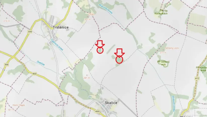 Prodej podílu lesa, Skalice, 1312 m2