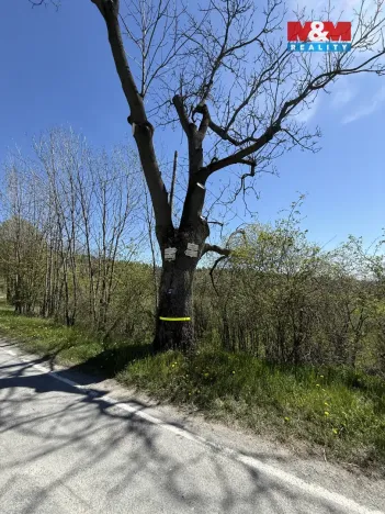 Prodej rodinného domu, Město Albrechtice, Osoblažská, 280 m2
