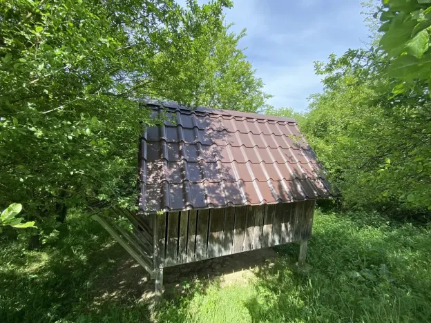 Prodej lesa, Šarovy, 11619 m2